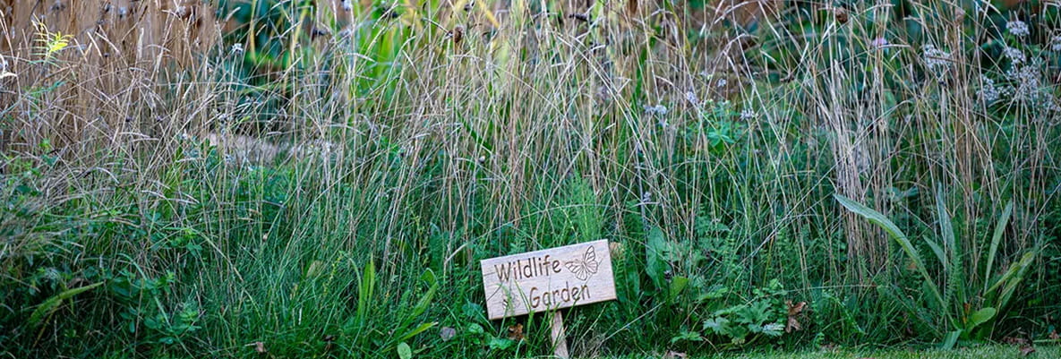 Hartland Village’s biodiversity showgarden