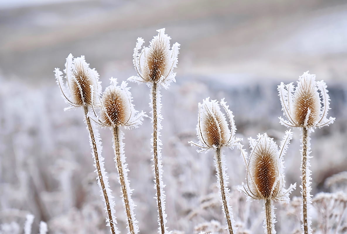 How to Create a Wildlife-friendly Garden - Relax Your Approach