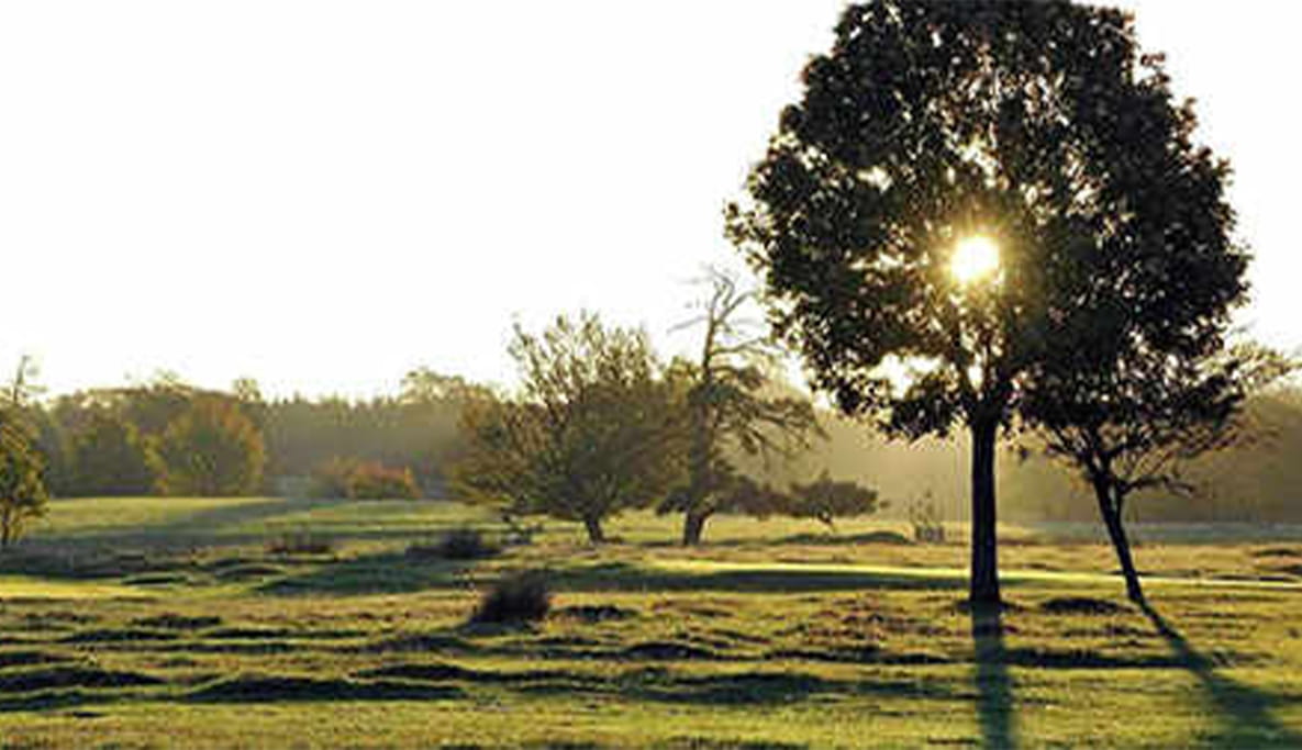 Knole Park Golf Club in Sevenoaks, Kent.
