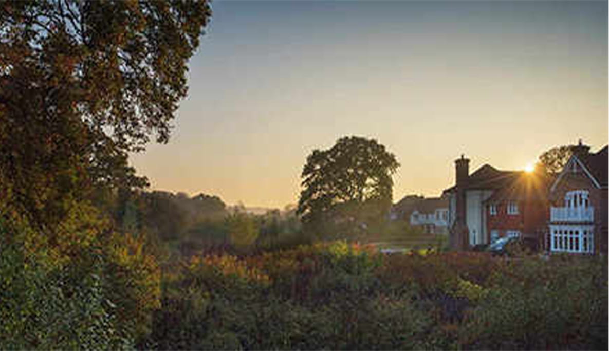 A serene sunset over a Berkeley development area.