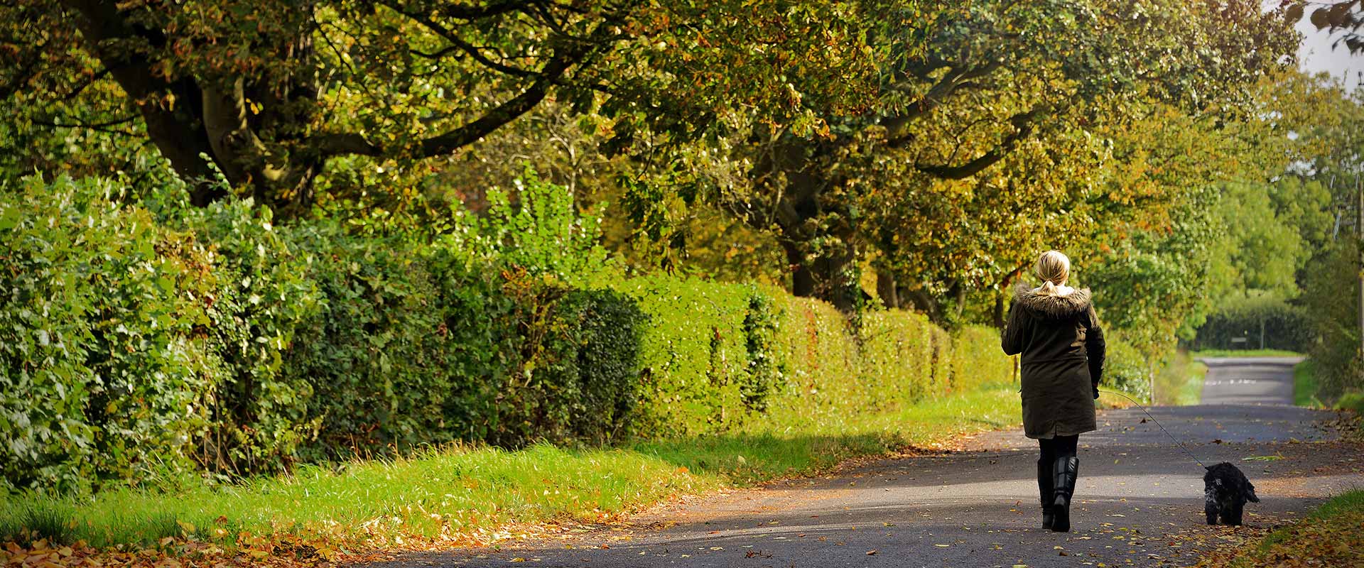 Kent's Most Beautiful Dog-Friendly Walks, Inspiration