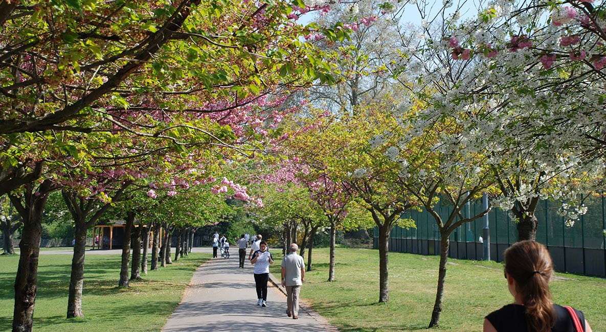 Walking Path in Battersea Park