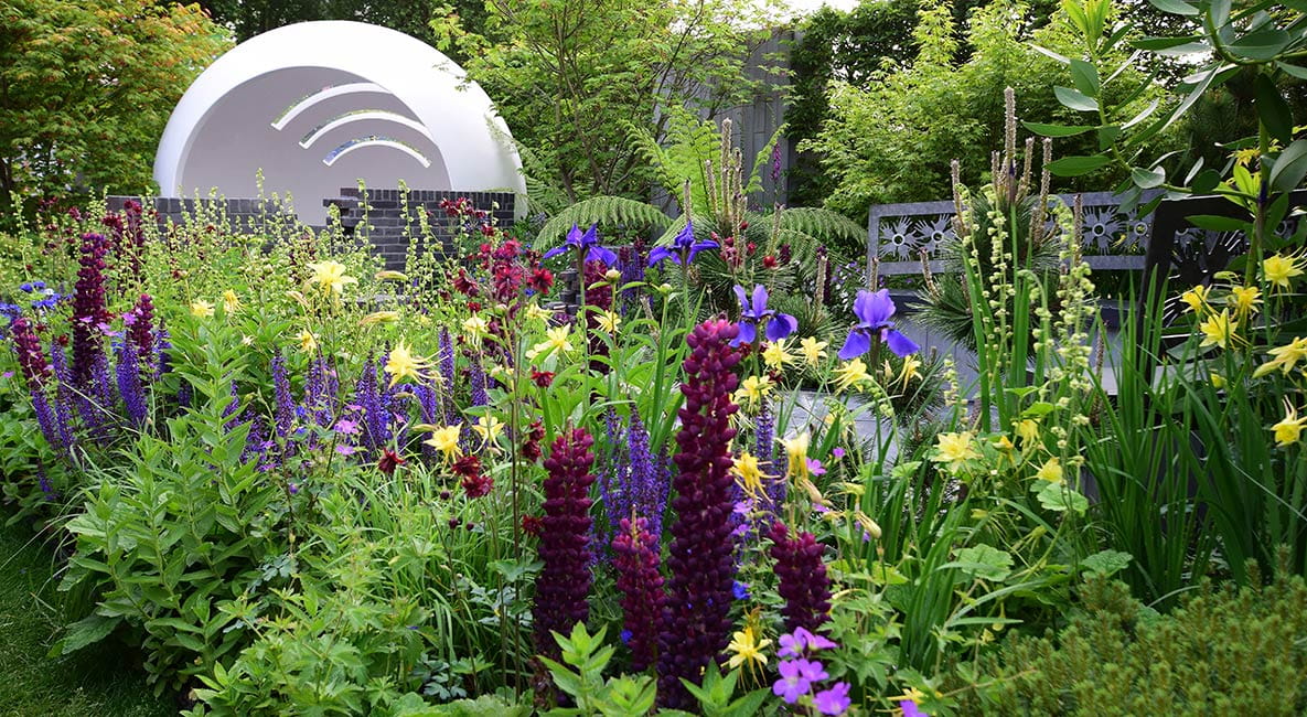 Garden full of bright coloured flowers