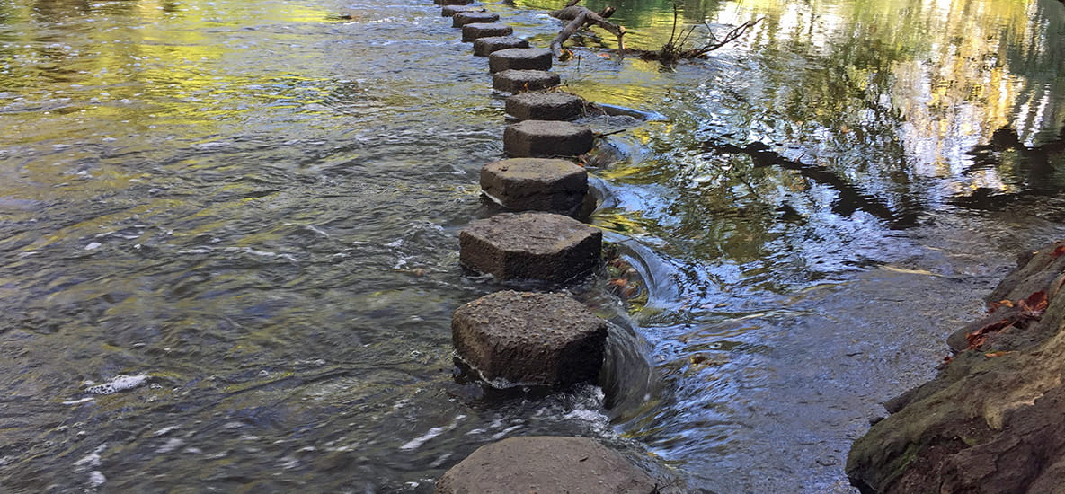 Box Hill | Berkeley Inspiration