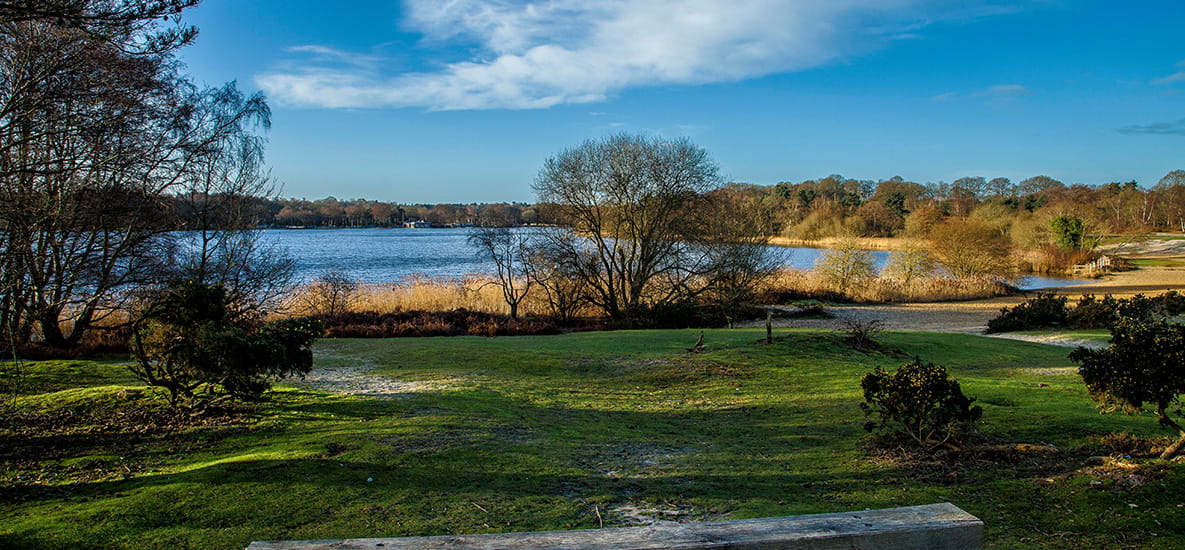 Frensham Common | Berkeley Inspiration