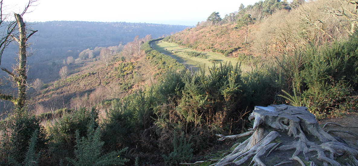 Hindhead Common and the Devils Punch Bowl | Berkeley Inspiration