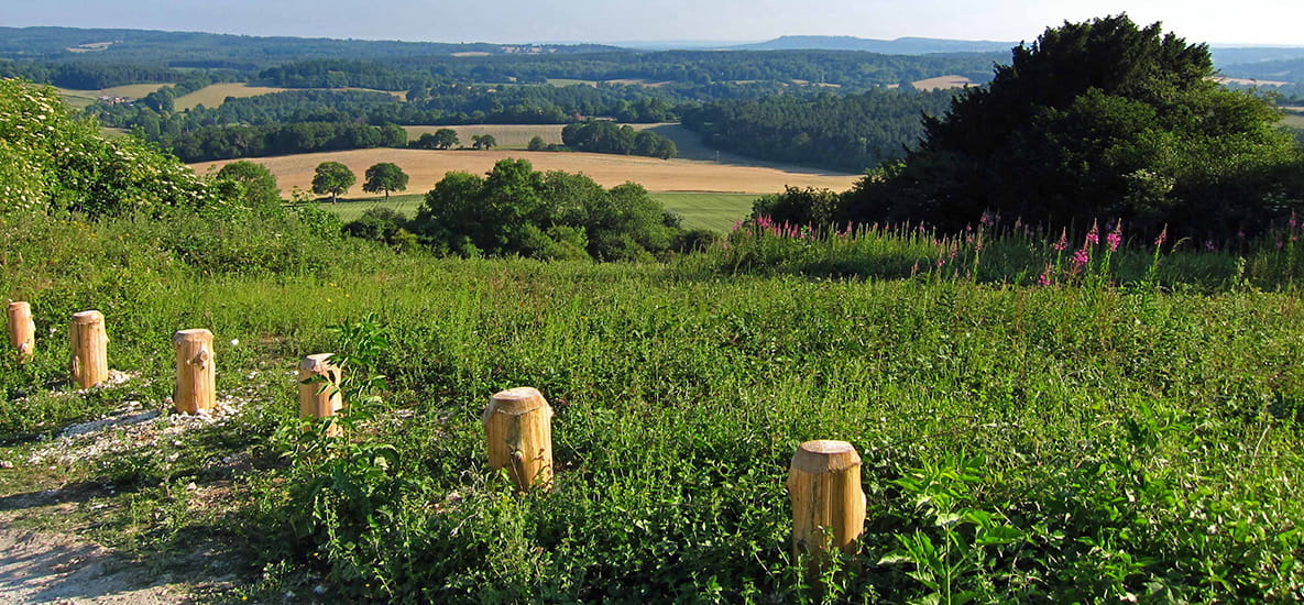 Newlands Corner | Berkeley Inspiration