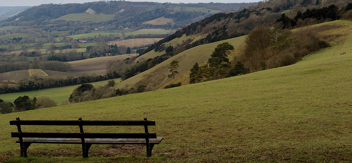 Reigate Hill | Berkeley Inspiration