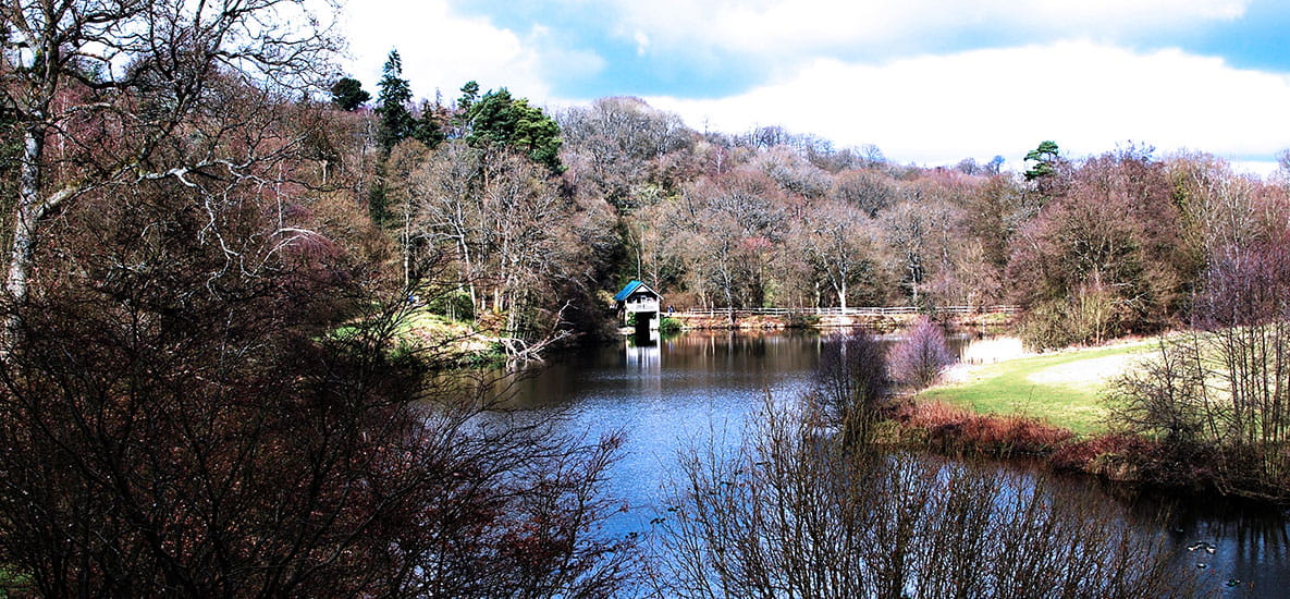 Winkworth Arboretum | Berkeley Inspiration