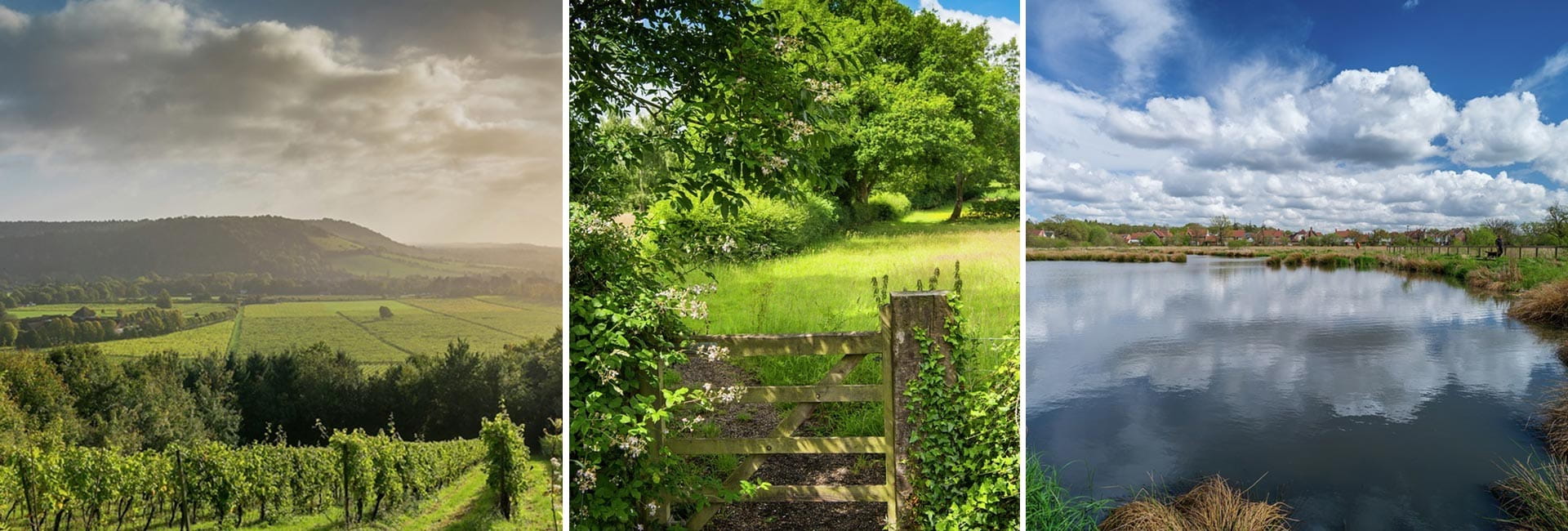 Winter Walks | Berkeley Inspiration