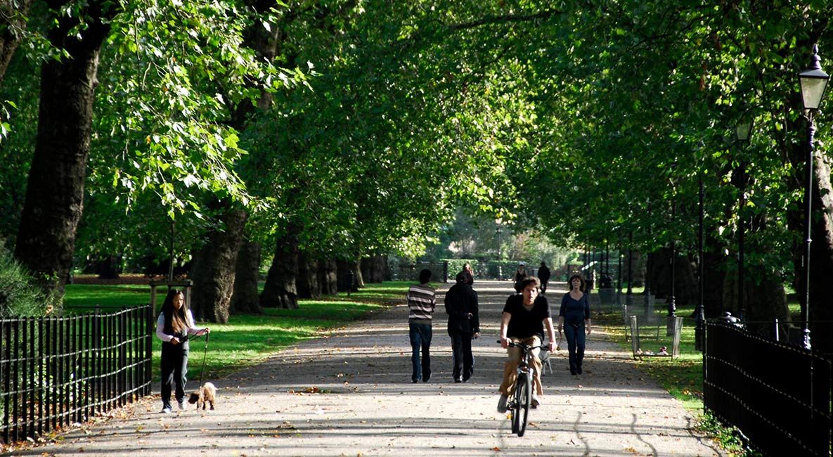 A visitor slowly cycles along a path, taking in the views of Battersea Park as they go.