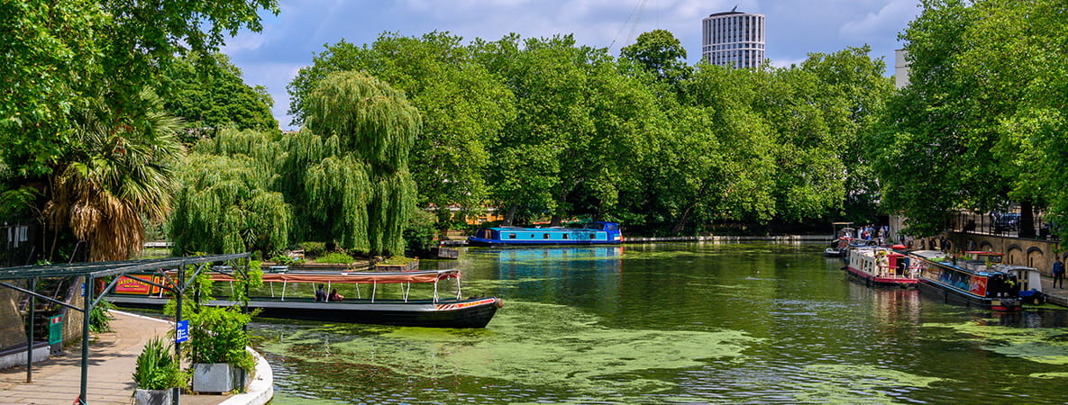 Berkeley Inspiration - Spotlight on West End Gate - Things To Do