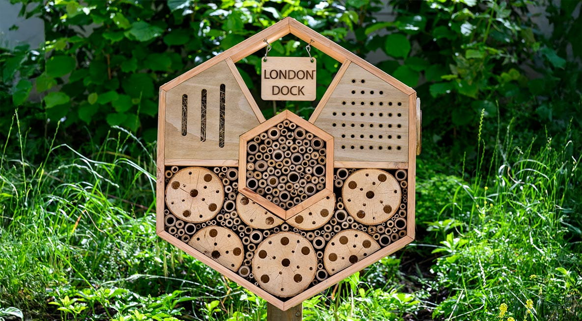An insect box erected within the grounds of London Dock