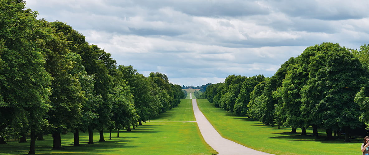 A picture of the undulating hills and tree-lined drive in the grounds of Windsor Castle in Berkshire.