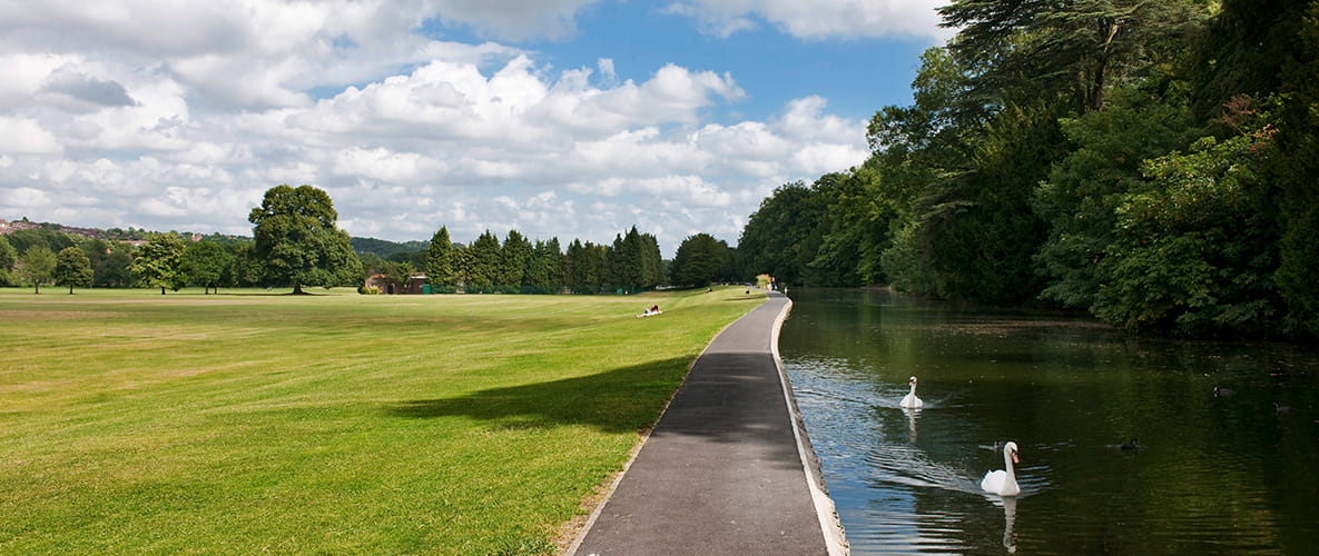 A Buckinghamshire water garden, featuring expansive grass and swans swimming near a river footpath.