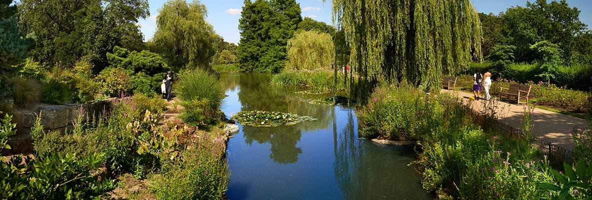 The Queen's Garden in Camden