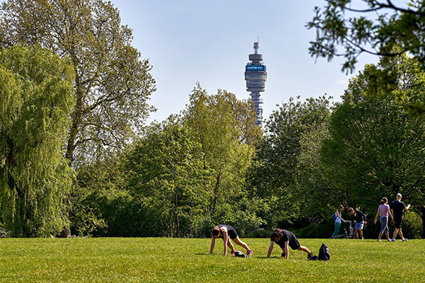 People walking on a path with trees