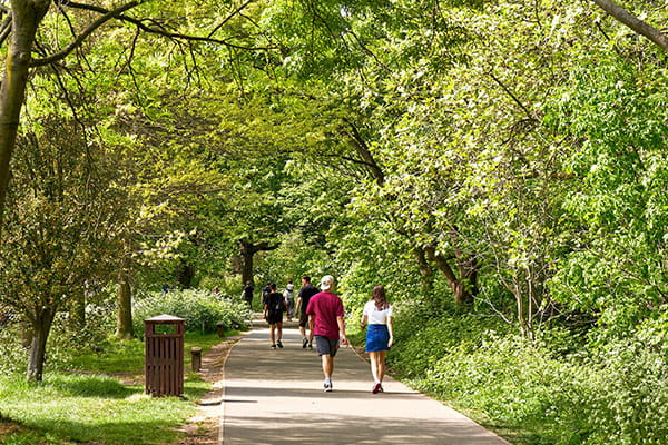 People exercising in a park