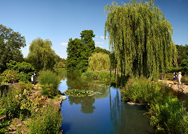 The Queen’s Garden in Camden: The Perfect Balance of Nature and City