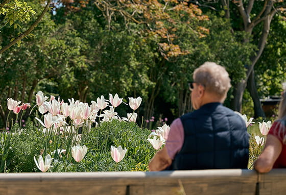 An image of someone sat in the park on a bench