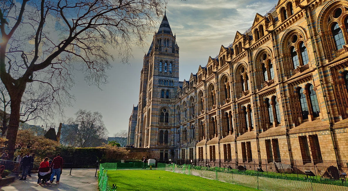 Berkeley Inspiration - The UK's Most Family Friendly Museums to Visit in 2023 - Natural History Museum