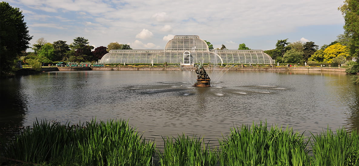 Check out a sweet installation