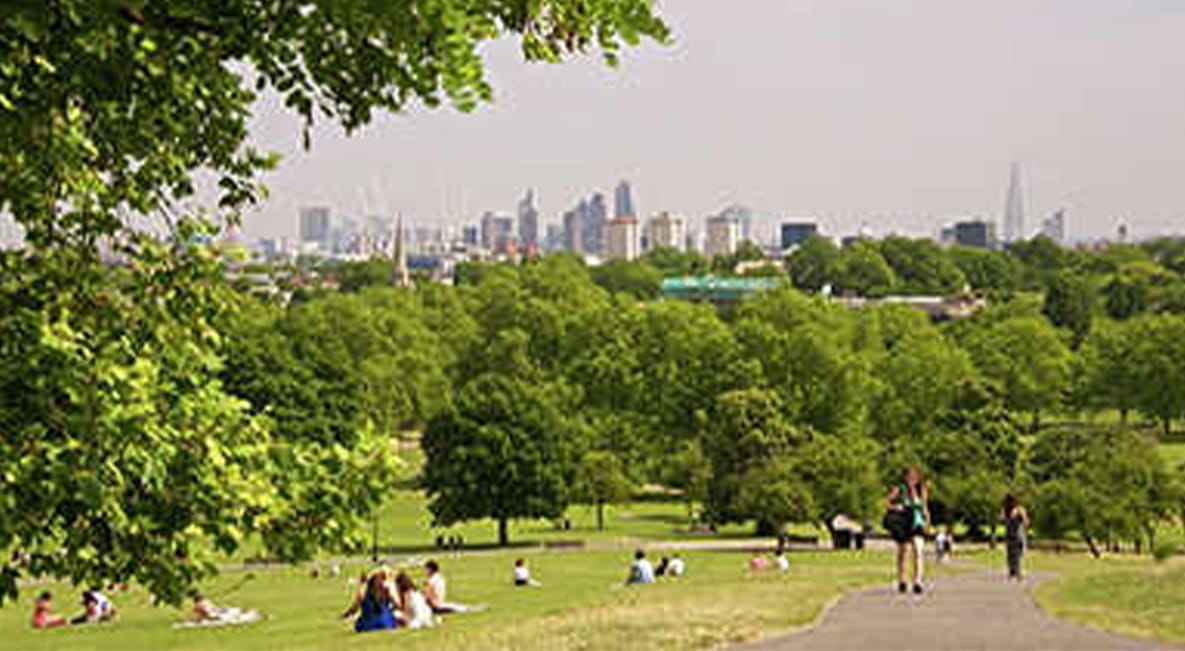 A view of Hampstead Heath park with skyscrapers in the background.