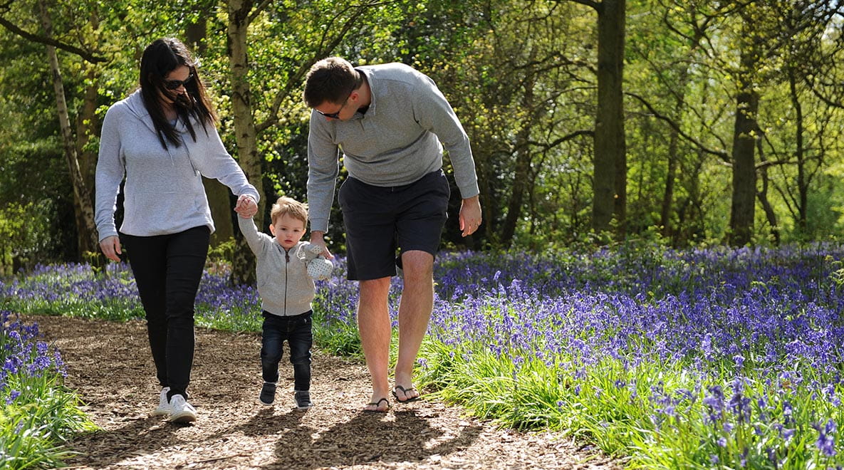 Two parents and their son walking in bluebell fields near Woodhurt Park.