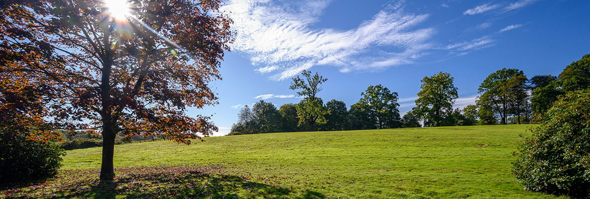 Sunningdale Country Park