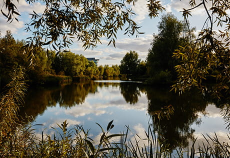Bankside Garden Carousel Image 2