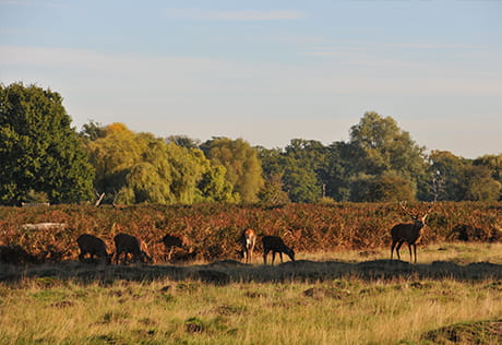 Royal Exchange Carousel Image 2