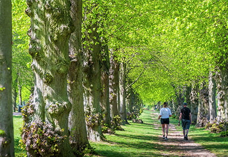 Trent Park Carousel Image 2