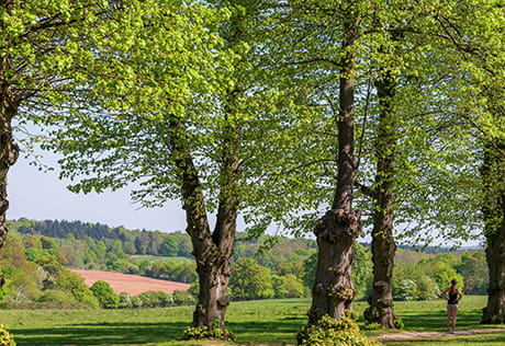 Trent Park Carousel Image 3