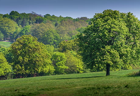 Trent Park Carousel Image 4