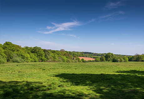 Trent Park Carousel Image 5
