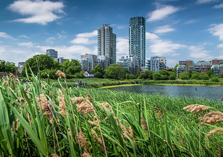 Woodberry Down Carousel Image 1