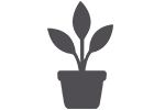 An icon of a potted plant