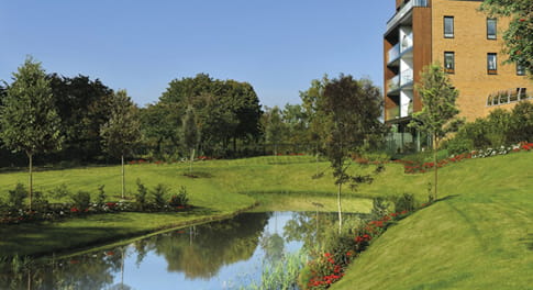 Green living and sustainable landscapes at Berkeley
