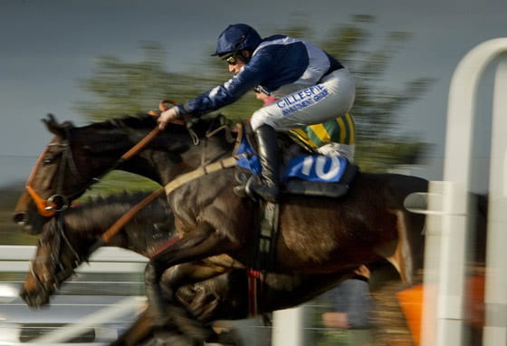 Horses racing at Ascot Races during a race day