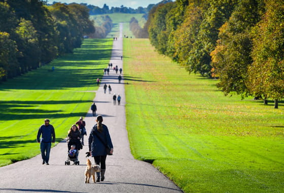 View across Windsor Great Park near Ascot