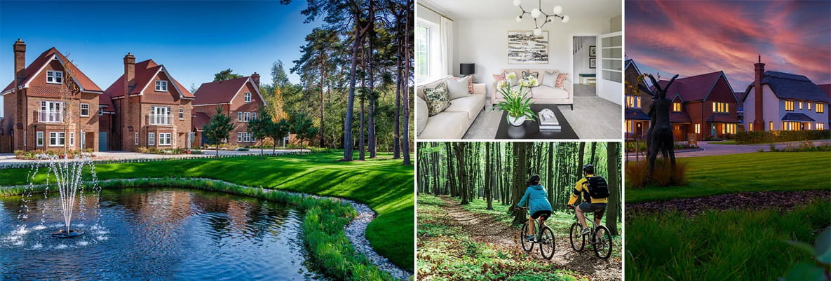 A selection of images from our Hampshire developments