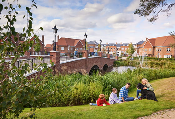 A group of people sitting on grass in Hartland Village, Fleet