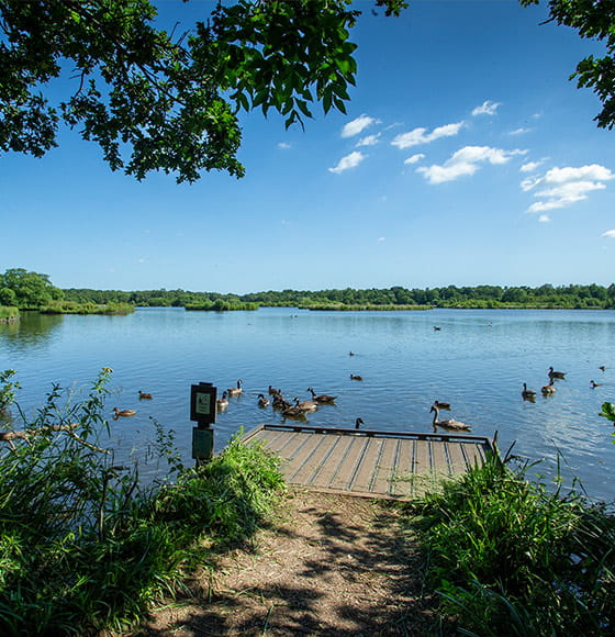 An image of a lake at Fleet