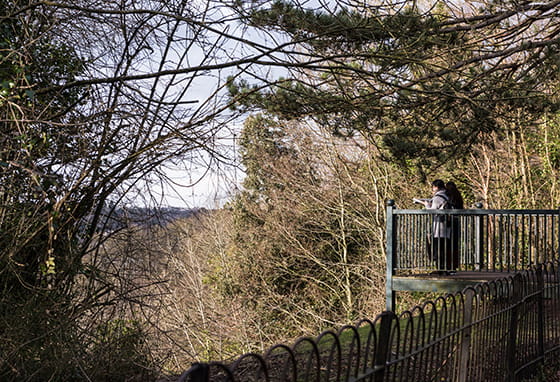 A group of people standing on a balcony overlooking trees onto a Hampshire landscape