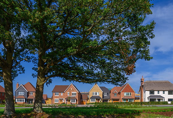 A row of houses in Hareshill development, Fleet with trees in the foreground