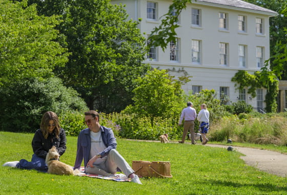 Oakhill new build homes and green areas