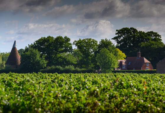 House in a field in Pacddock Wood