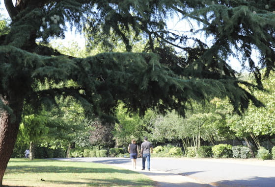 Woodberry Park North London