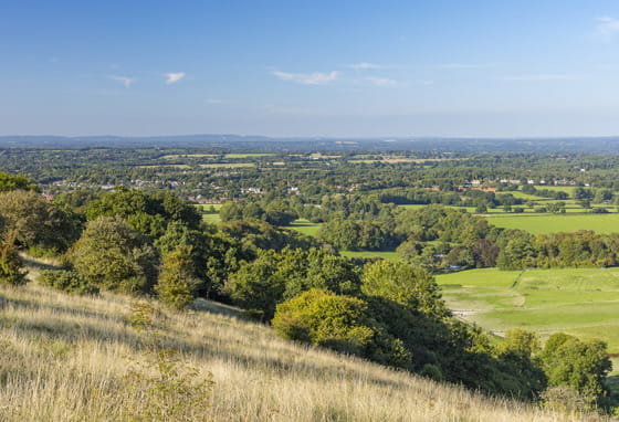 Surrey landscape