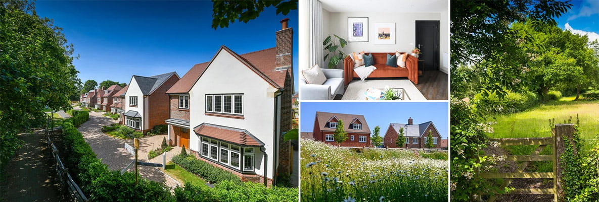 A selection of images from our Surrey developments